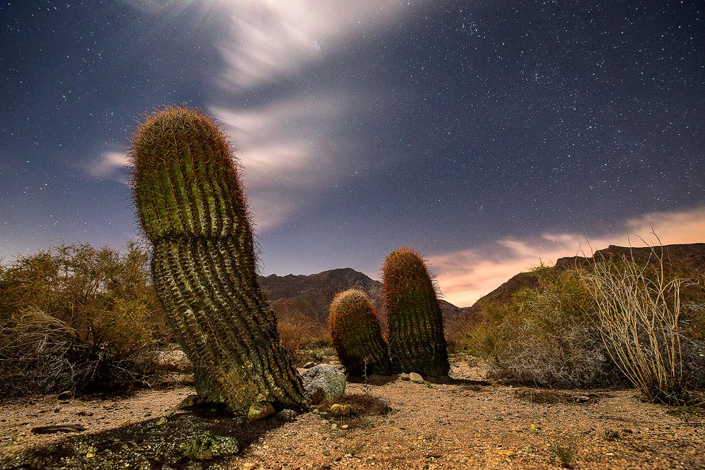 Anza Borrego Desert SP